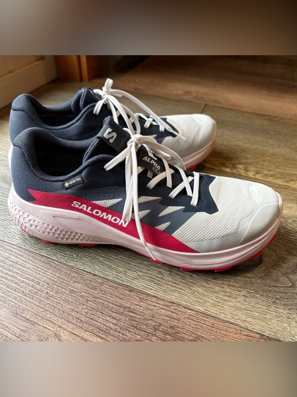 Salomon Men's Navy, White & Pink Trail Runners